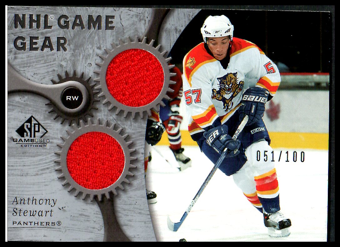 (image for) 2005-06 SP Game Used Game Gear #GGST Anthony Stewart